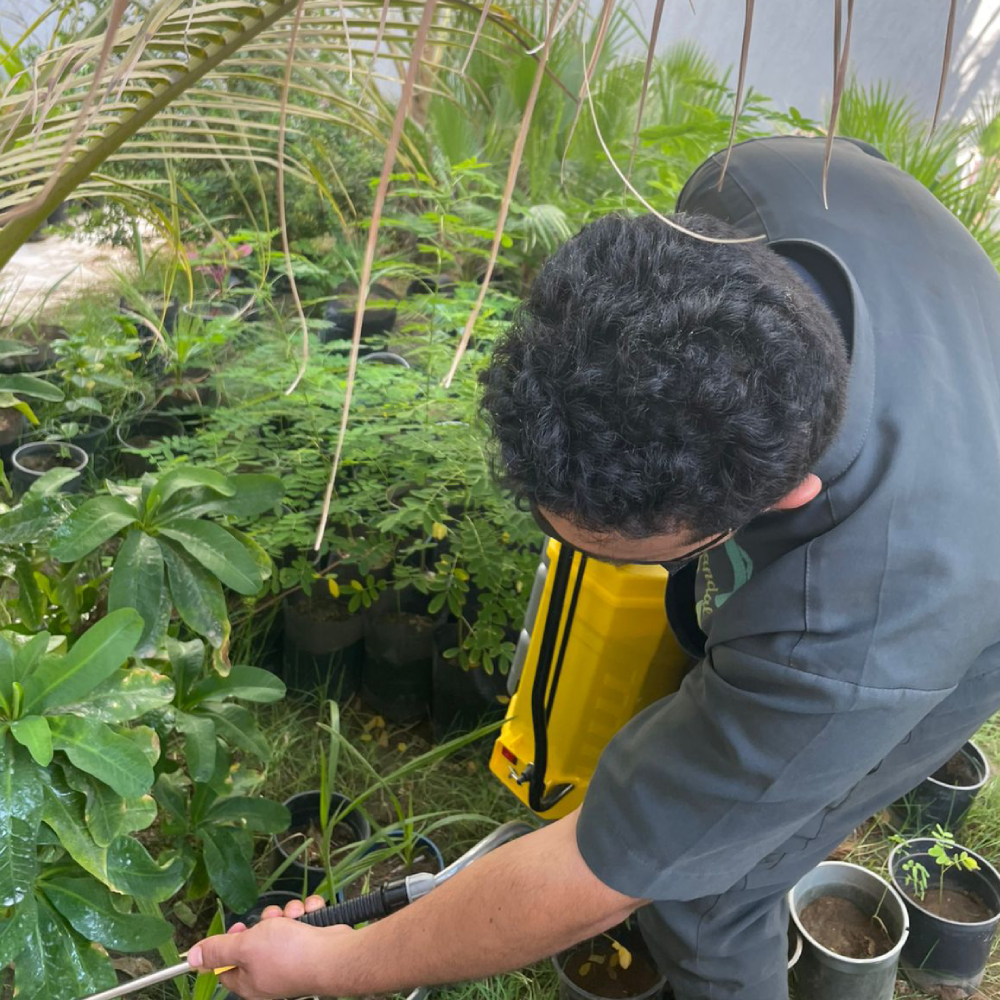 قبل وبعد — تنظيف