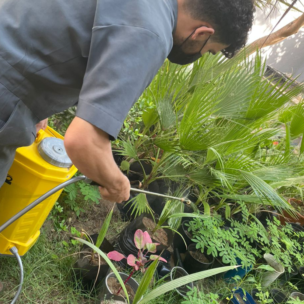 قبل وبعد — مكافحة